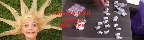 тгк Пересвет