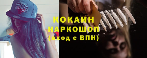 тгк Пересвет