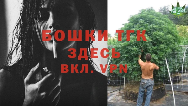 тгк Пересвет